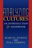 Analyzing Cultures