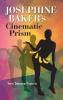 Josephine Baker's Cinematic Prism