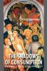 Shadows of Consumption