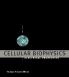 Cellular Biophysics Volume 2