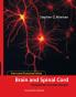 Form and Function in the Brain and Spinal Cord