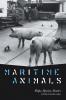 Maritime Animals