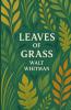 Leaves Of Grass(Illustrated)