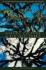 Nature Culture and Big Old Trees