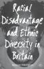 Racial Disadvantage and Ethnic Diversity in Britain