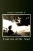 Caverns of the Soul