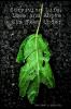 Surviving Life Love and Above Six Feet Under
