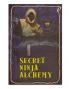 Secret Ninja Alchemy