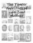 The Pioneer Ancestors of Lida Jane Mulliner