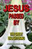 Jesus Passed By