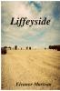 Liffeyside