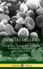 Diabetes Mellitus