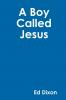 A Boy Called Jesus