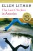 Last Chicken in America