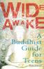 Wide Awake