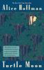 Turtle Moon