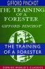 The Training of a Forester (Esprios Classics)