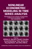 Nonlinear Econometric Modeling in Time Series