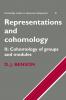 Representations and Cohomology