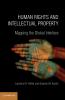 Human Rights and Intellectual Property