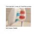 The Secret Lives of Toothbrushes
