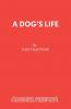 A Dog's Life