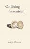 On Being Seventeen