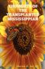 Thoughts of the Transplanted Mississippian