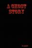 A Ghost Story