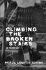 Climbing the Broken Stairs a Memoir