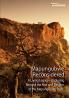 Mapungubwe  Reconsidered