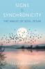 Signs & Synchronicity - The Magic of Soul Speak