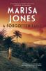 A Forgotten Land