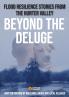 Beyond the Deluge
