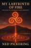 My Labyrinth of Fire