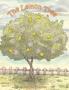 The Lemon Tree - Hardcover