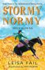 Stormy Normy Goes Reining