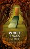 WHILE I WAS GONE