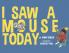 I Saw A Mouse Today