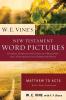 The W. E. Vine's New Testament Word Pictures