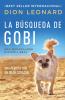 búsqueda de Gobi | Softcover  | Finding Gobi
