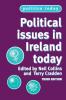 Political issues in Ireland today