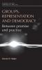 Groups representation and democracy