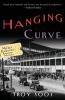 The Hanging Curve