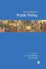 Handbook of Public Policy