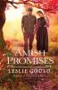 Amish Promises