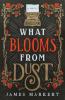 The What Blooms from Dust