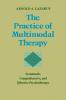 The Practice of Multimodal Therapy