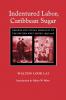 Indentured Labor Caribbean Sugar