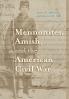 Mennonites Amish and the American Civil War